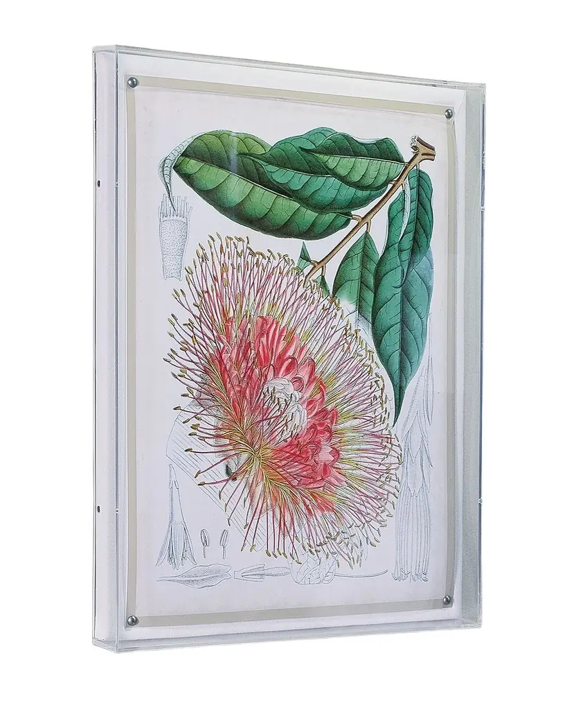 Port 68 Tropicals IV Giclee | Image 1 Port 68 Tropicals IV Giclee | Image 1