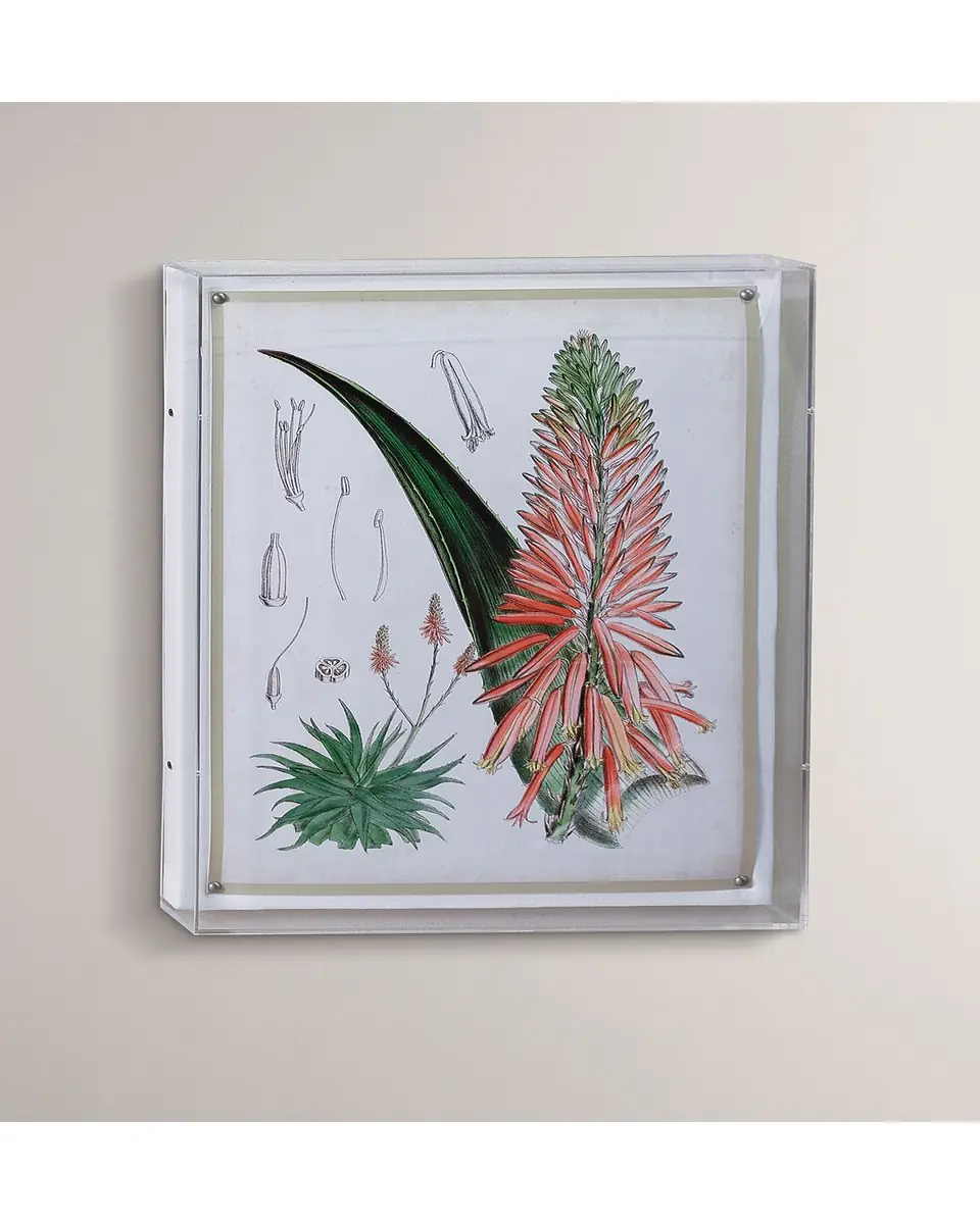 Port 68 Tropicals I Giclee | Thumbnail 3 Port 68 Tropicals I Giclee | Thumbnail 3