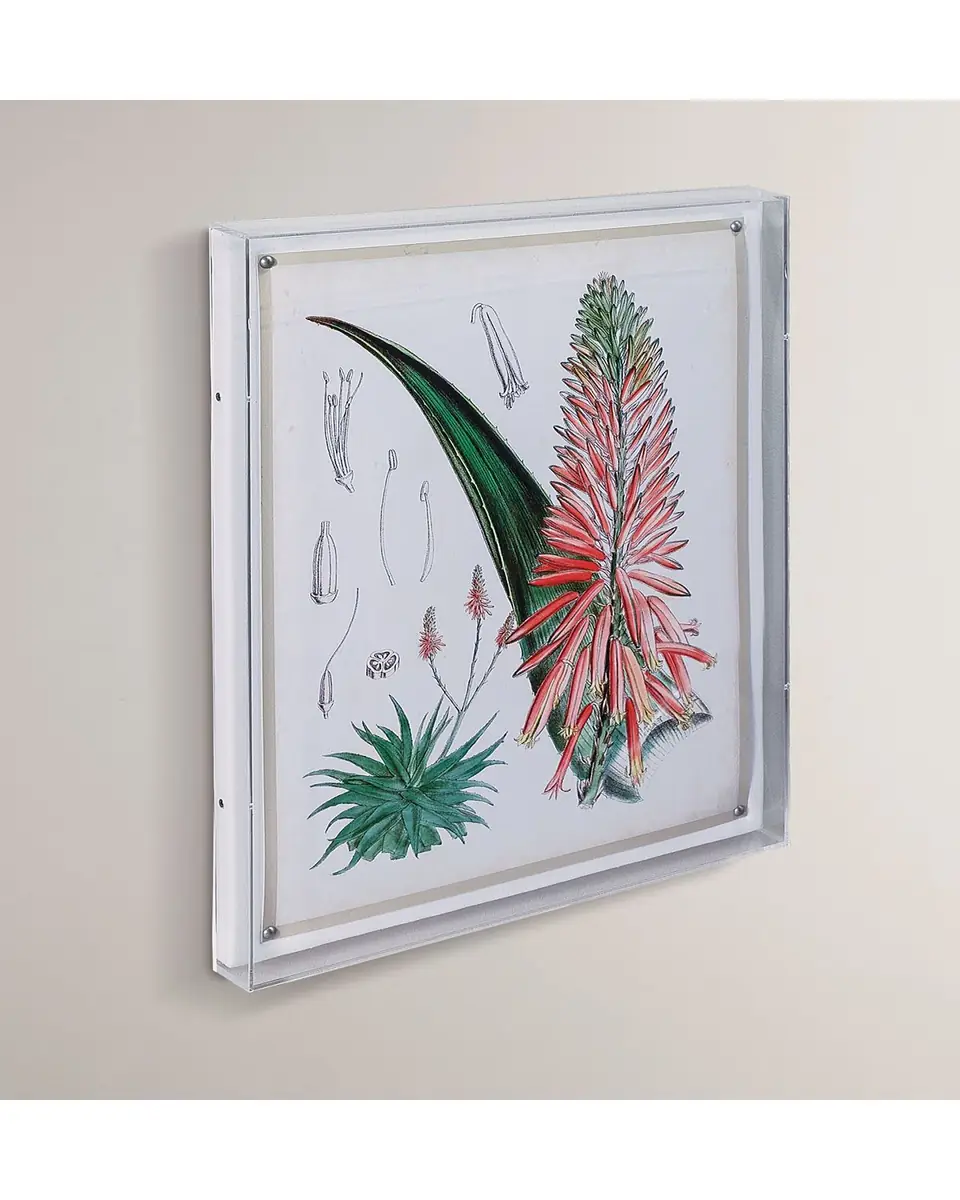Port 68 Tropicals I Giclee | Thumbnail 4 Port 68 Tropicals I Giclee | Thumbnail 4