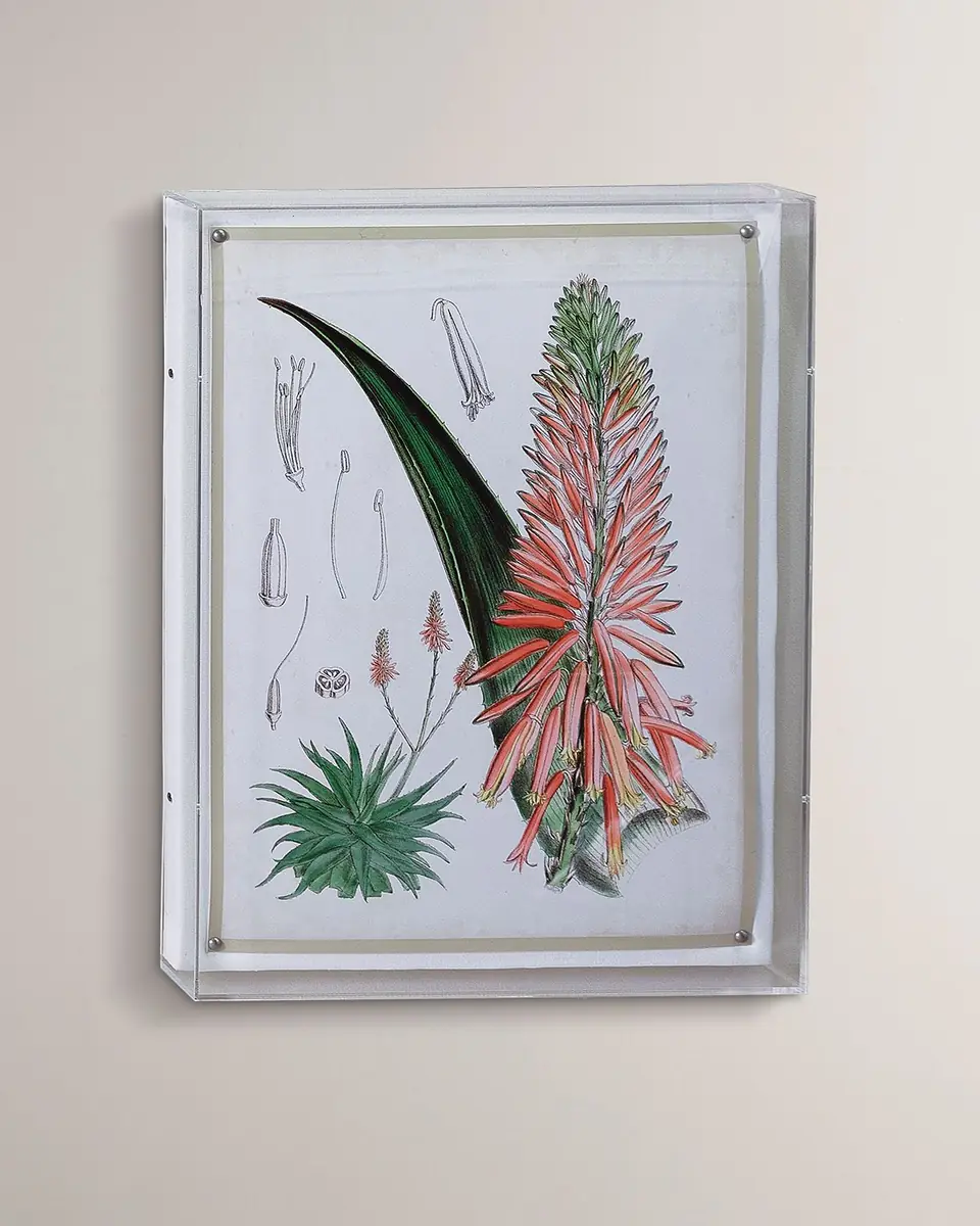 Port 68 Tropicals I Giclee | Thumbnail 5 Port 68 Tropicals I Giclee | Thumbnail 5