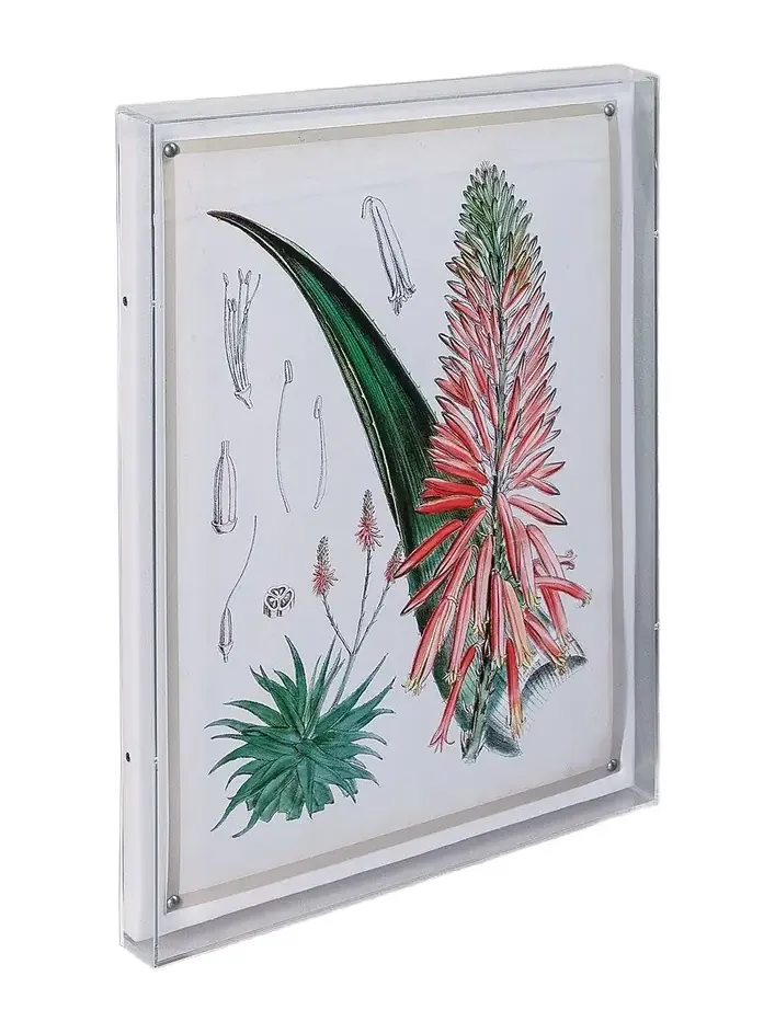 Port 68 Tropicals I Giclee