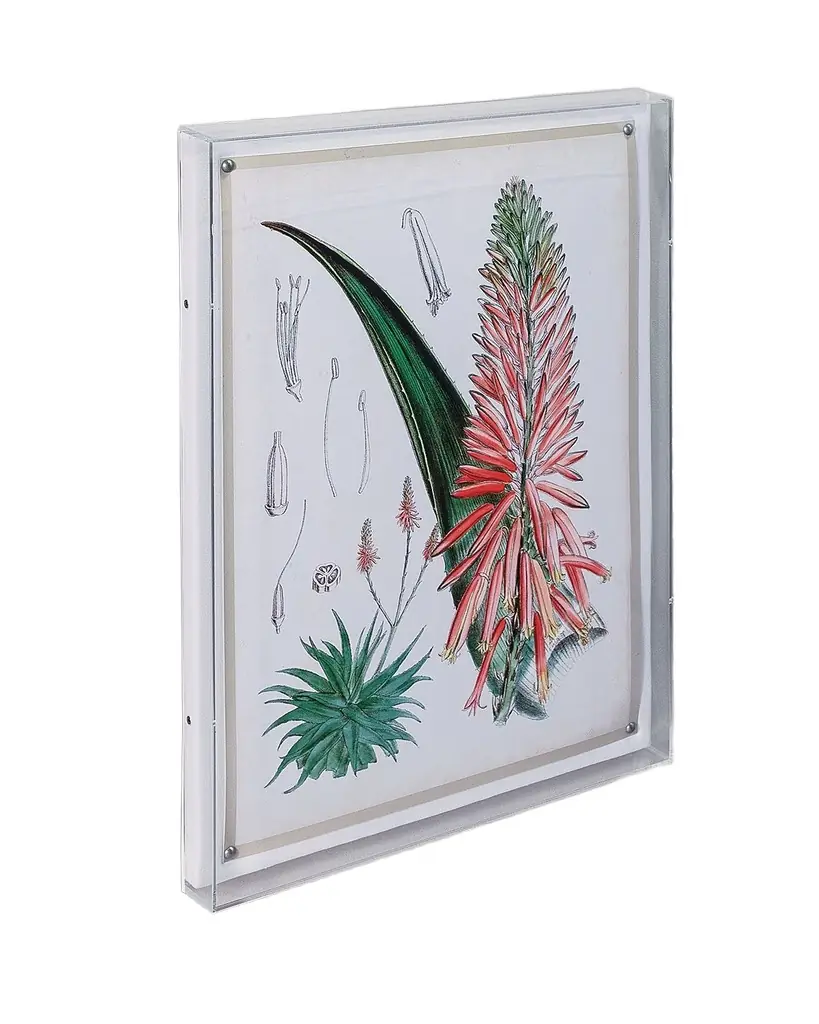Port 68 Tropicals I Giclee | Image 1 Port 68 Tropicals I Giclee | Image 1