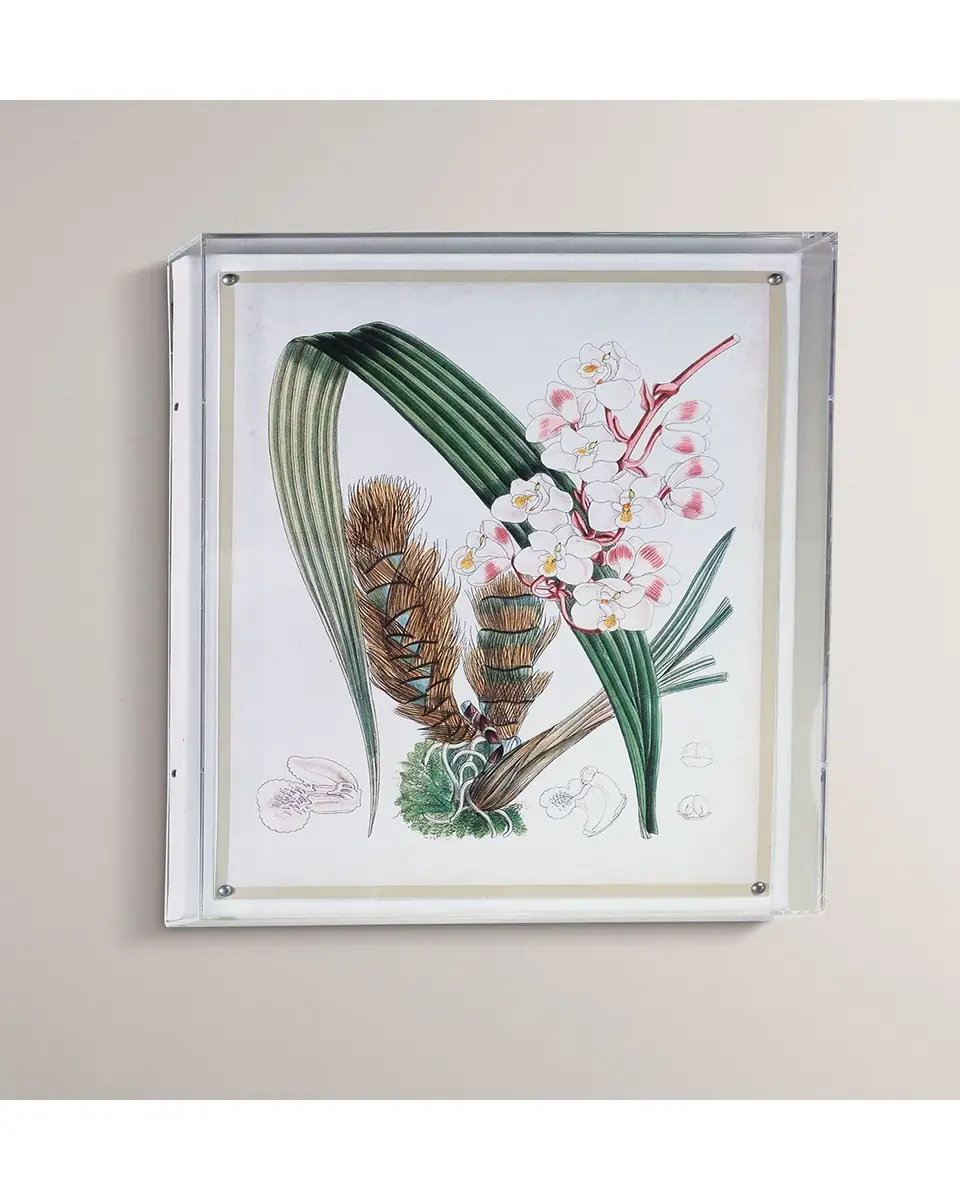 Port 68 Tropicals VIII Giclee | Thumbnail 3 Port 68 Tropicals VIII Giclee | Thumbnail 3