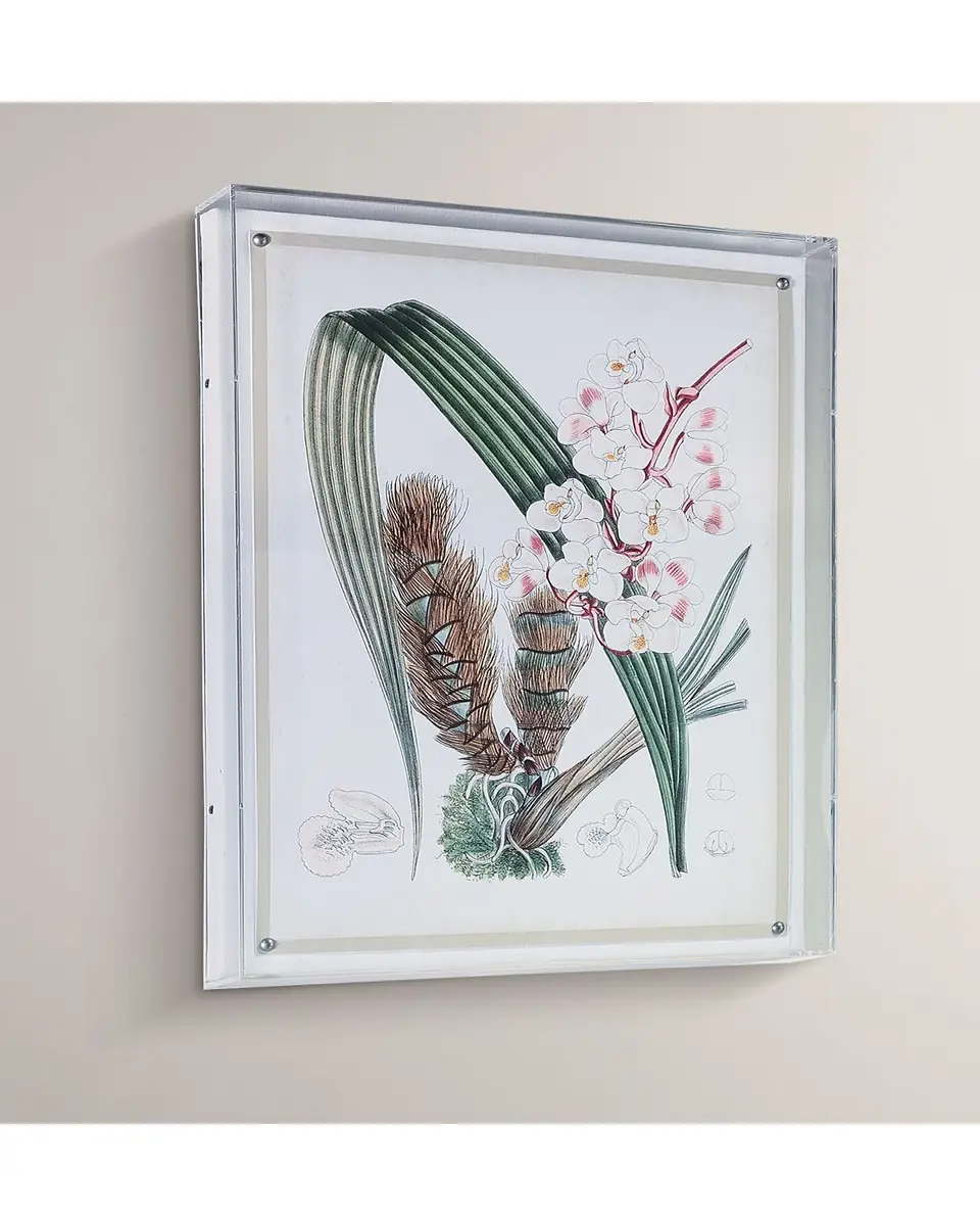 Port 68 Tropicals VIII Giclee | Thumbnail 4 Port 68 Tropicals VIII Giclee | Thumbnail 4