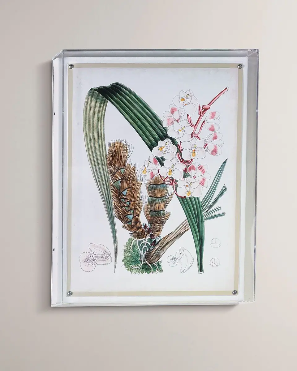 Port 68 Tropicals VIII Giclee | Thumbnail 5 Port 68 Tropicals VIII Giclee | Thumbnail 5