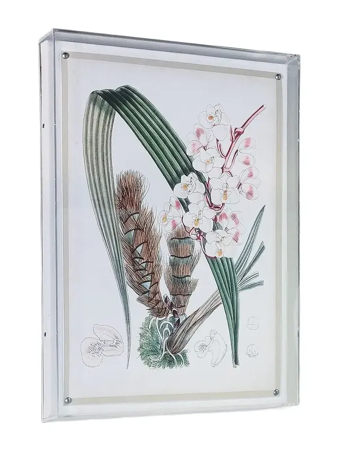 Port 68 Tropicals VIII Giclee