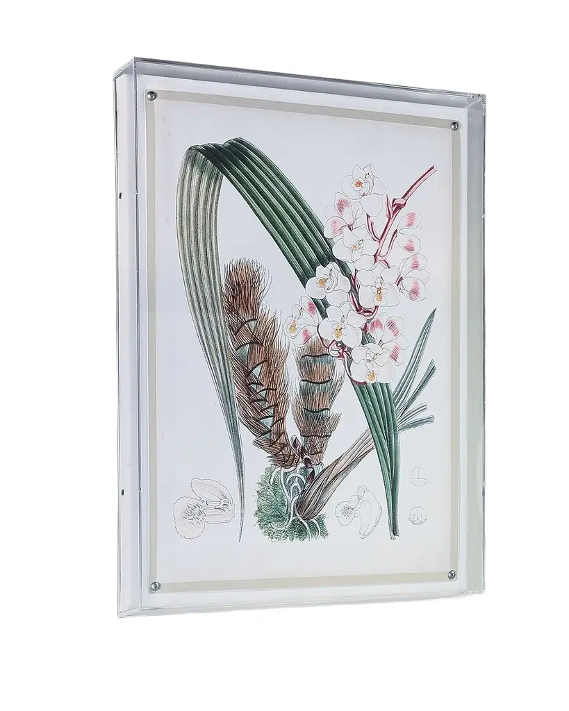 Port 68 Tropicals VIII Giclee | Image 1 Port 68 Tropicals VIII Giclee | Image 1