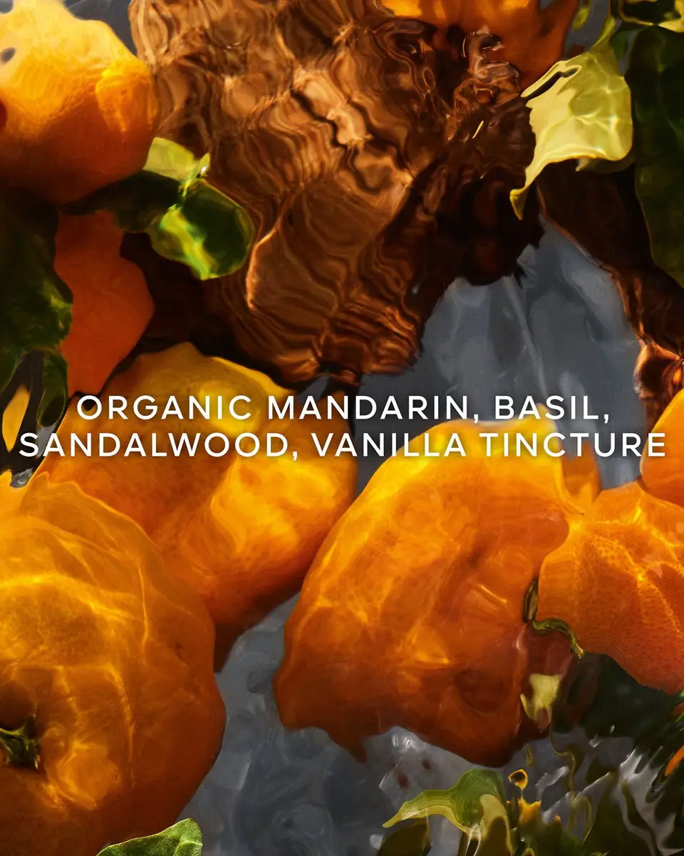 Guerlain Aqua Allegoria Mandarine Basilic Forte Eau de Parfum Refill, 6.8 oz. | Image 1 Guerlain Aqua Allegoria Mandarine Basilic Forte Eau de Parfum Refill, 6.8 oz. | Image 1