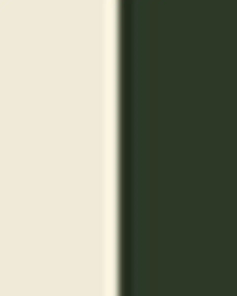 FORNASETTI Tray 25X60cm - Giardino Settecentesco Green Ivory | Thumbnail 5 FORNASETTI Tray 25X60cm - Giardino Settecentesco Green Ivory | Thumbnail 5