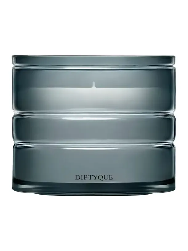 Diptyque Nymphees Merveilles (Nymphaeum of Wonders) Refillable Candle, 9.5 oz.