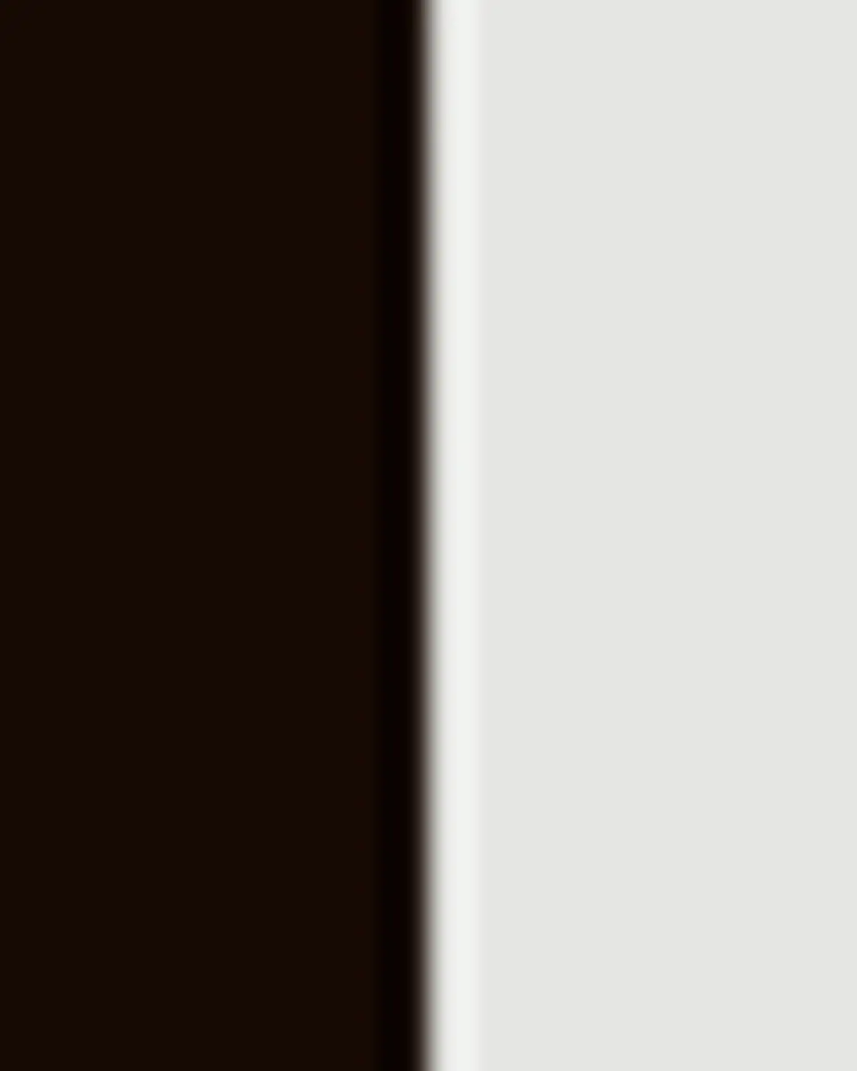 FORNASETTI Tema e Variazioni n.397 Red Lips Rectangular Tray | Thumbnail 4