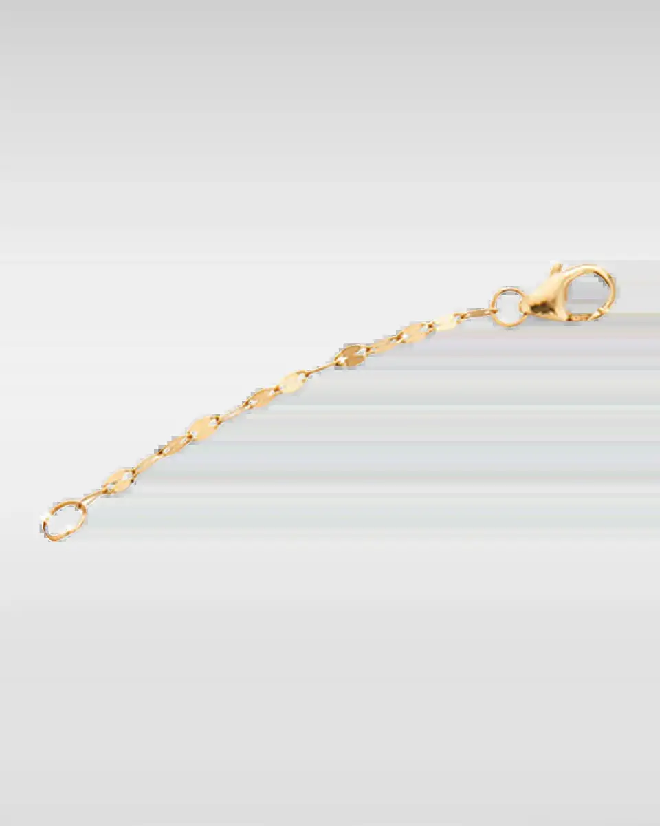 LANA Blake 14k Gold Extender Chain, 2"L | Thumbnail 2