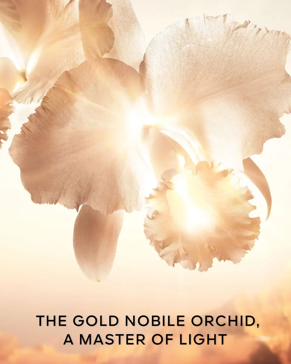 Guerlain Orchidee Imperiale Gold Nobile The Cream Refill, 1.7 oz. | Thumbnail 6 Guerlain Orchidee Imperiale Gold Nobile The Cream Refill, 1.7 oz. | Thumbnail 6