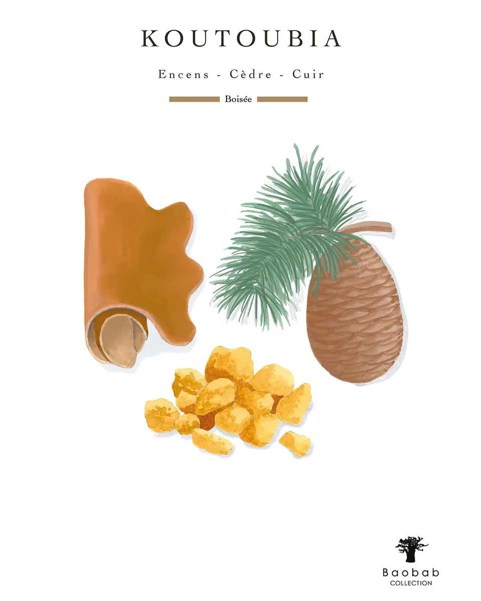 BAOBAB COLLECTION Orientalist Koutoubia 4-Wick Max 10 Candle, 45.8 oz. | Thumbnail 4 BAOBAB COLLECTION Orientalist Koutoubia 4-Wick Max 10 Candle, 45.8 oz. | Thumbnail 4