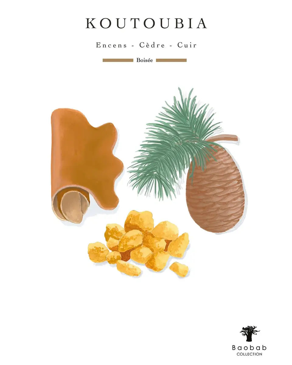 BAOBAB COLLECTION Orientalist Koutoubia 5-Wick Max 24 Candle, 183.4 oz. | Thumbnail 4 BAOBAB COLLECTION Orientalist Koutoubia 5-Wick Max 24 Candle, 183.4 oz. | Thumbnail 4