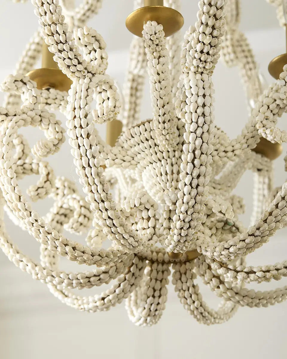 Exclusive Scroll Shell 5-Light Chandelier - 25" | Thumbnail 5 Exclusive Scroll Shell 5-Light Chandelier - 25" | Thumbnail 5