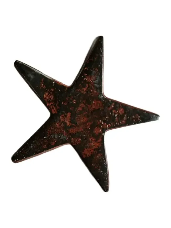 Shadow Catchers Estrella Star Decorative Object