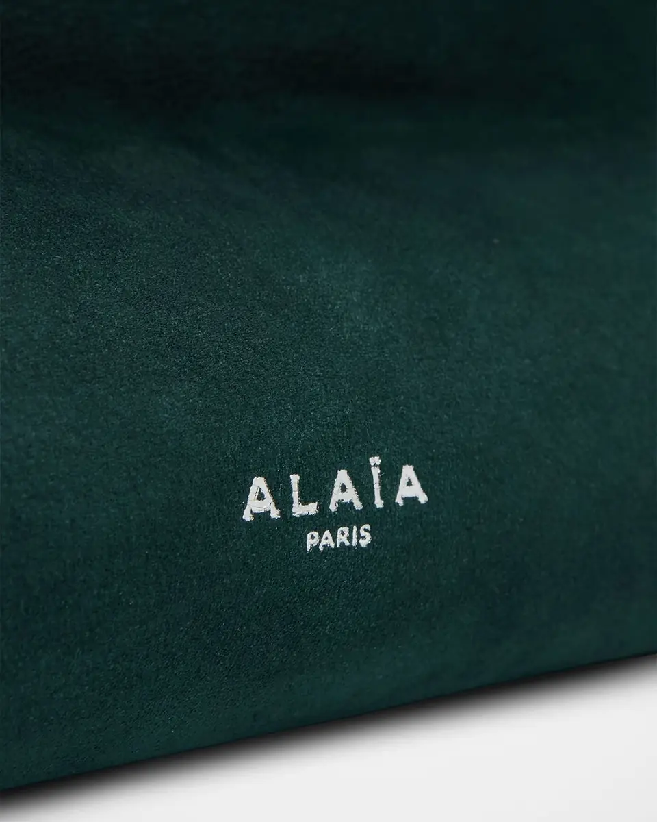 ALAÏA Le Click Medium Shoulder Bag in Suede | Thumbnail 37 ALAÏA Le Click Medium Shoulder Bag in Suede | Thumbnail 37