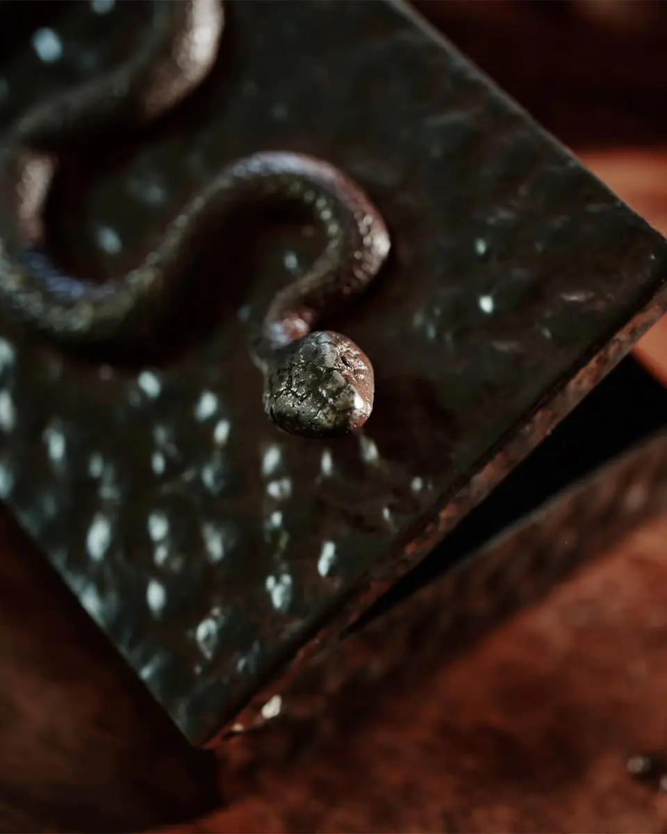 Jan Barboglio Nagini Snake Box | Thumbnail 3