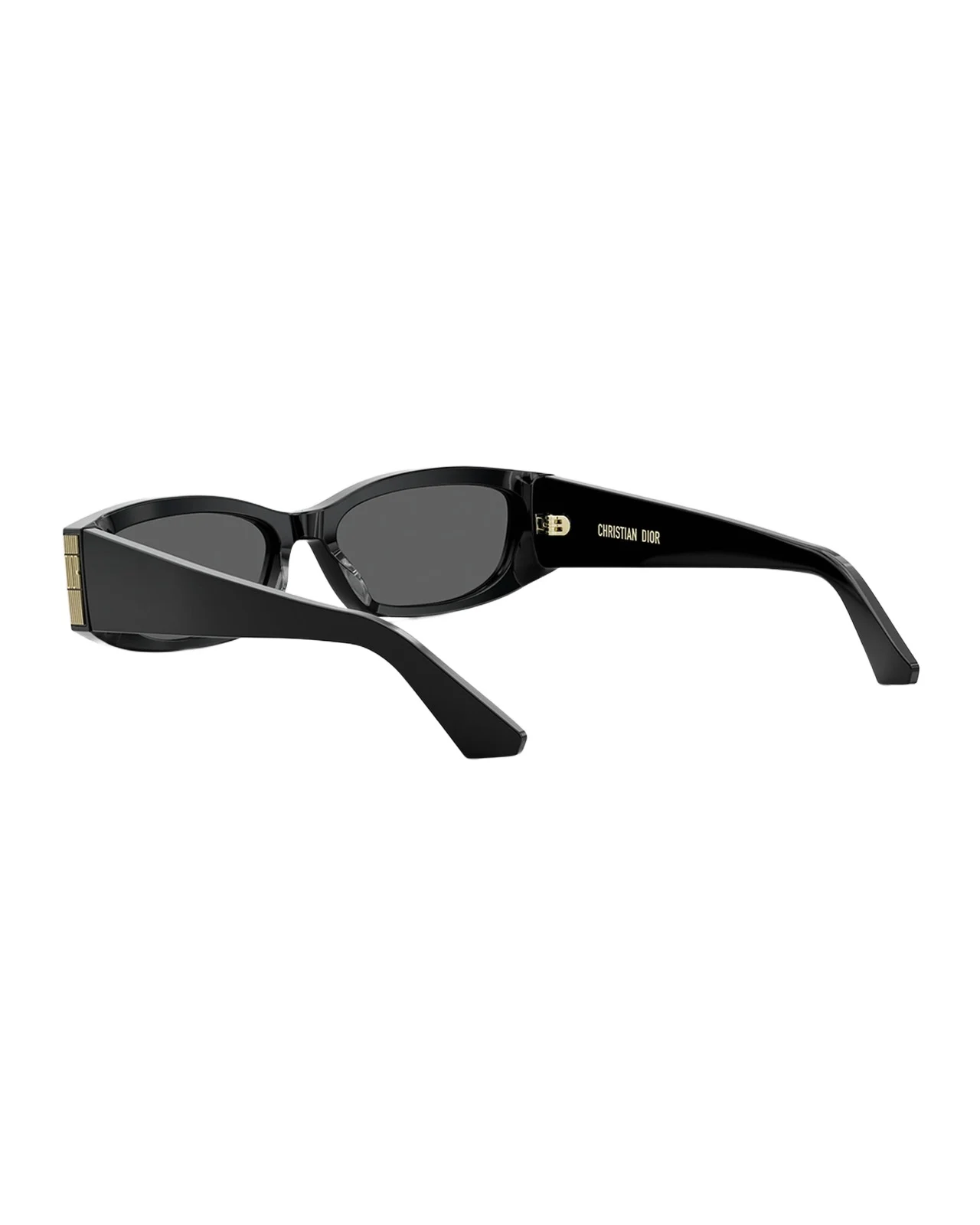 DiorGraphique S1I Rectangular Sunglasses DiorGraphique S1I Rectangular Sunglasses