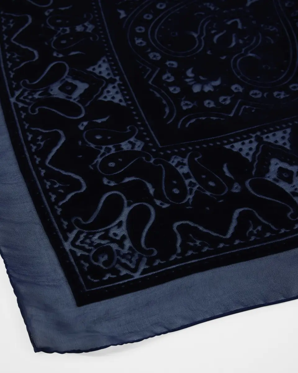 Etro Aida Flocked Paisley Shawl | Thumbnail 4 Etro Aida Flocked Paisley Shawl | Thumbnail 4