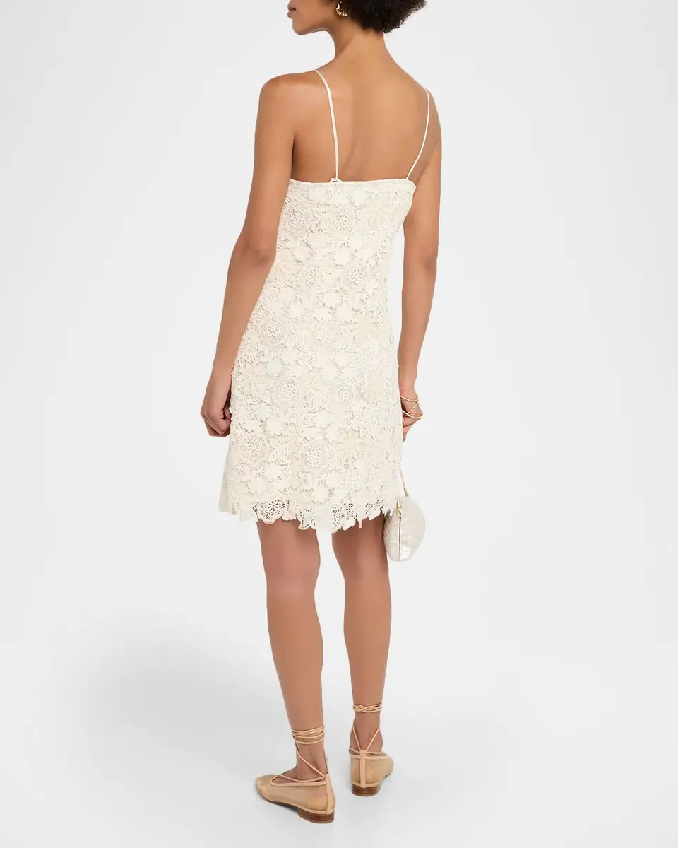 Marie Oliver Noah Lace Mini Dress | Thumbnail 3