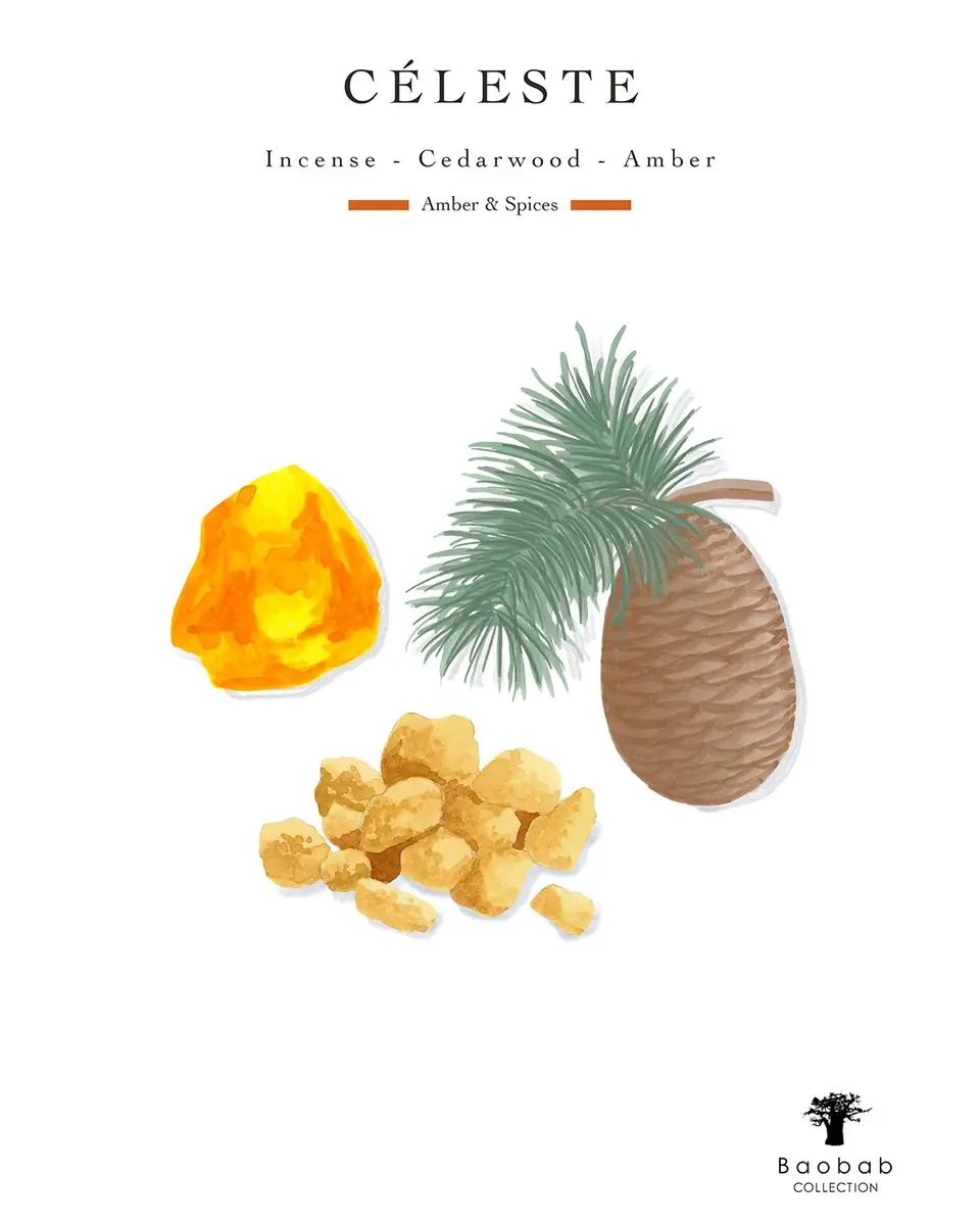 BAOBAB COLLECTION Celeste 5-Wick Max 24 Candle, 5.2 kg | Thumbnail 4
