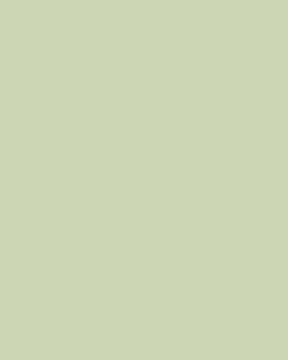 GINORI 1735 Oriente Italiano Tea Cup, 20.8 oz. | Thumbnail 2