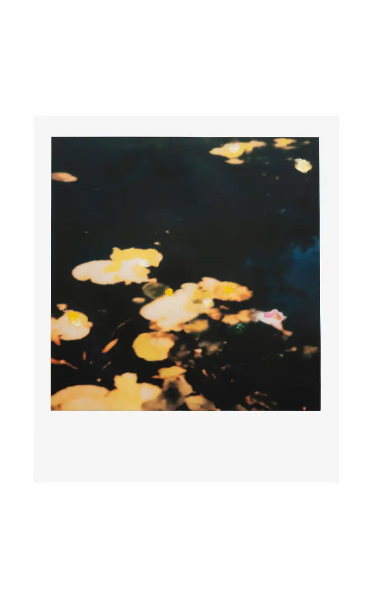 Rizzoli Francois Halard: Art & Flowers | Thumbnail 5 Rizzoli Francois Halard: Art & Flowers | Thumbnail 5