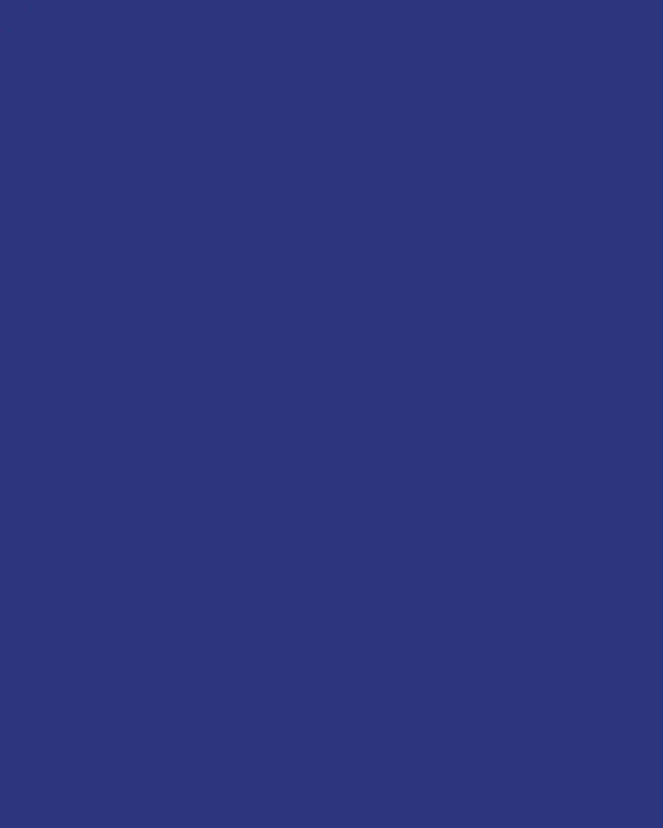 HERMÈS Bleus D'Ailleurs Large Deep Round Platter | Thumbnail 2