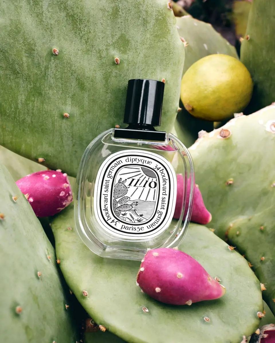 Diptyque Ilio Eau de Toilette, 3.4 oz. | Thumbnail 4 Diptyque Ilio Eau de Toilette, 3.4 oz. | Thumbnail 4