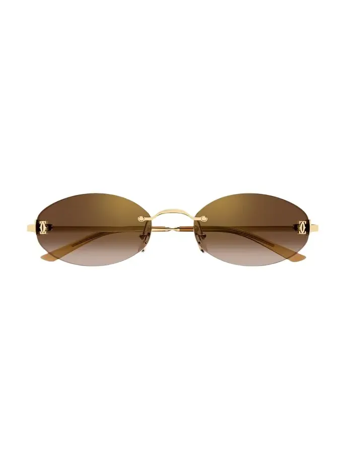 Signature C de 55mm Oval Sunglasses Signature C de 55mm Oval Sunglasses