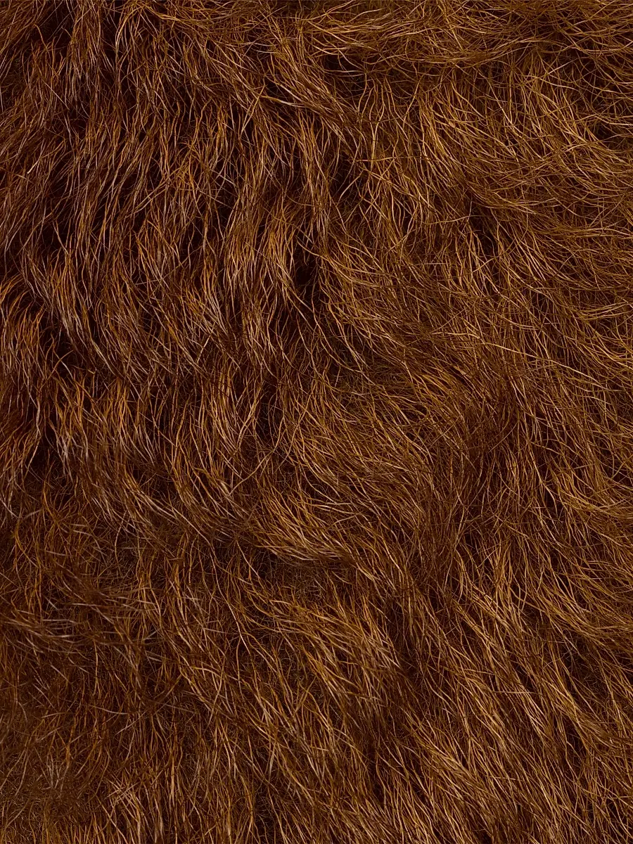 Prada Women's Shearling Collar - Brown | Thumbnail 3