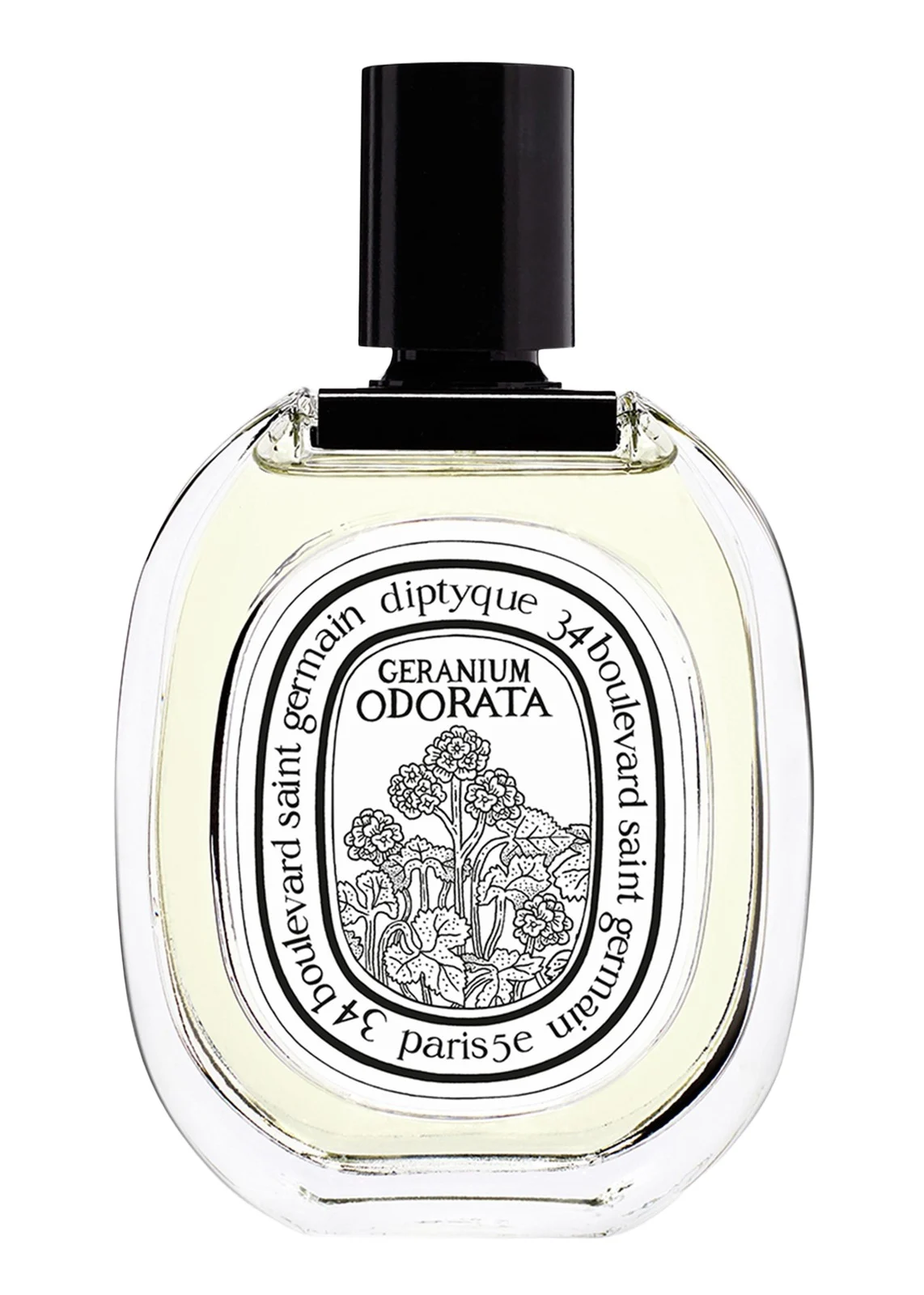 Diptyque Geranium Odorate Eau de Toilette, 3.4 oz.