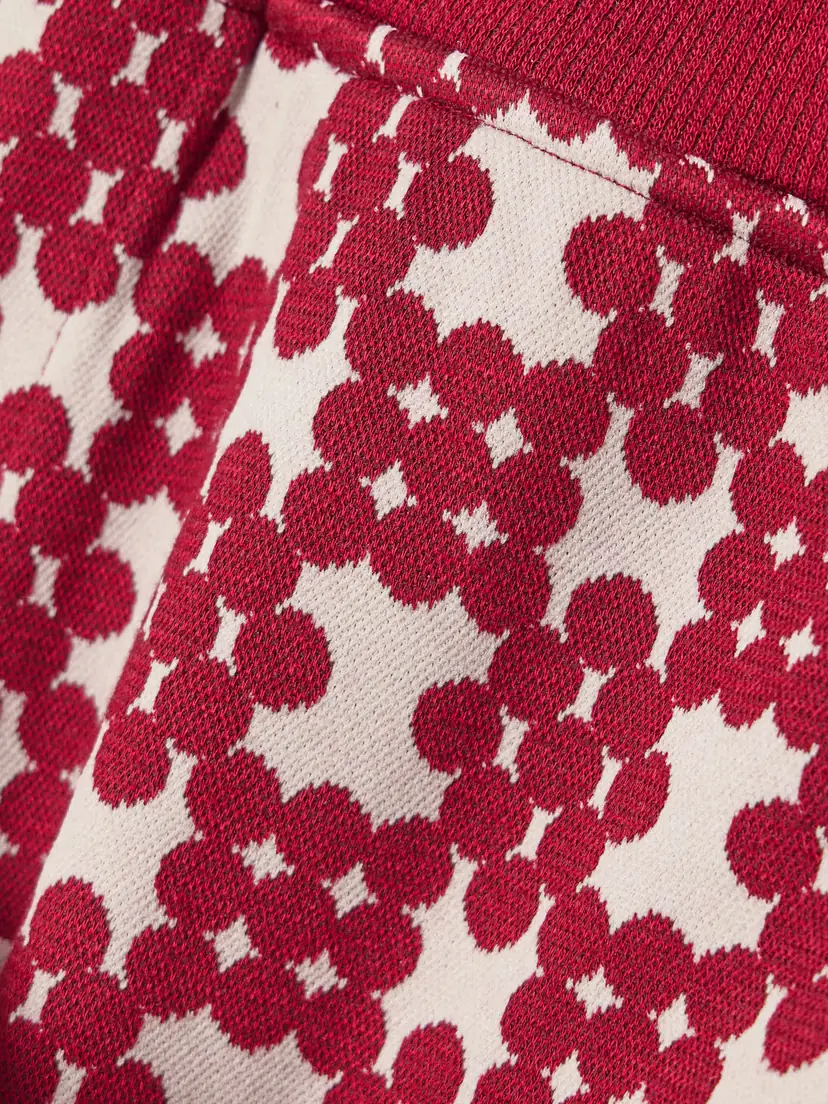 Dries Van Noten Jacquard-knit Shorts | Thumbnail 4