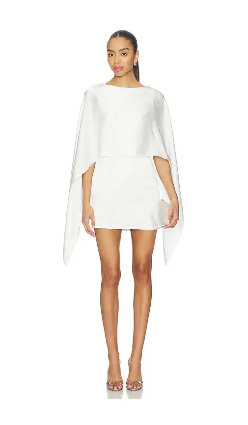 Lovers and Friends Tegan Mini Dress
