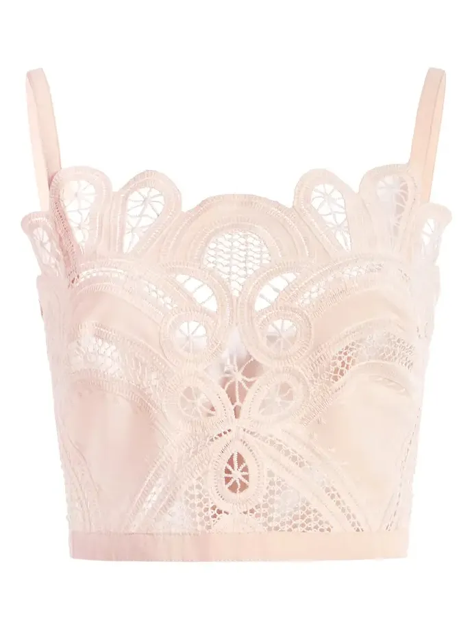 Embroidered Eyelet Crop Top