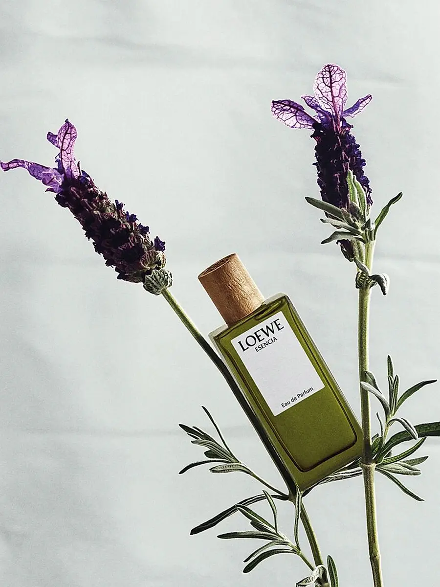 LOEWE PERFUMES Botanical Rainbow Miniatures 5-Piece Fragrance Discovery Set | Thumbnail 3 LOEWE PERFUMES Botanical Rainbow Miniatures 5-Piece Fragrance Discovery Set | Thumbnail 3