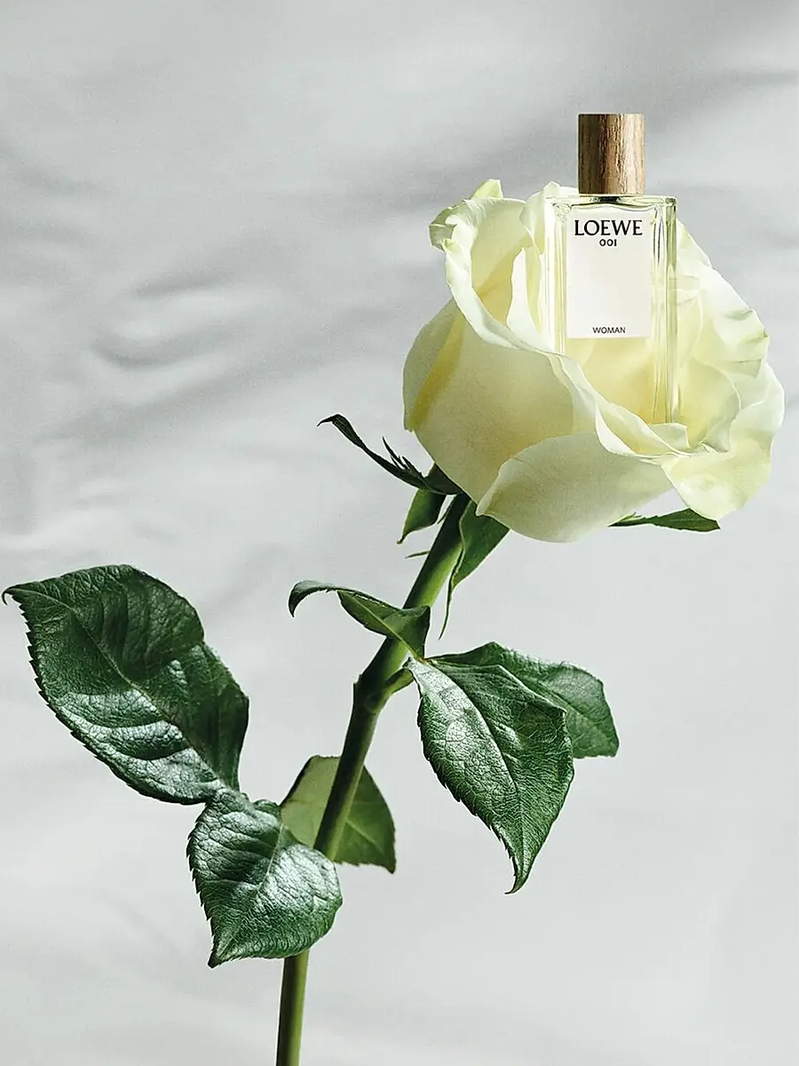 LOEWE PERFUMES Botanical Rainbow Miniatures 5-Piece Fragrance Discovery Set | Thumbnail 7 LOEWE PERFUMES Botanical Rainbow Miniatures 5-Piece Fragrance Discovery Set | Thumbnail 7