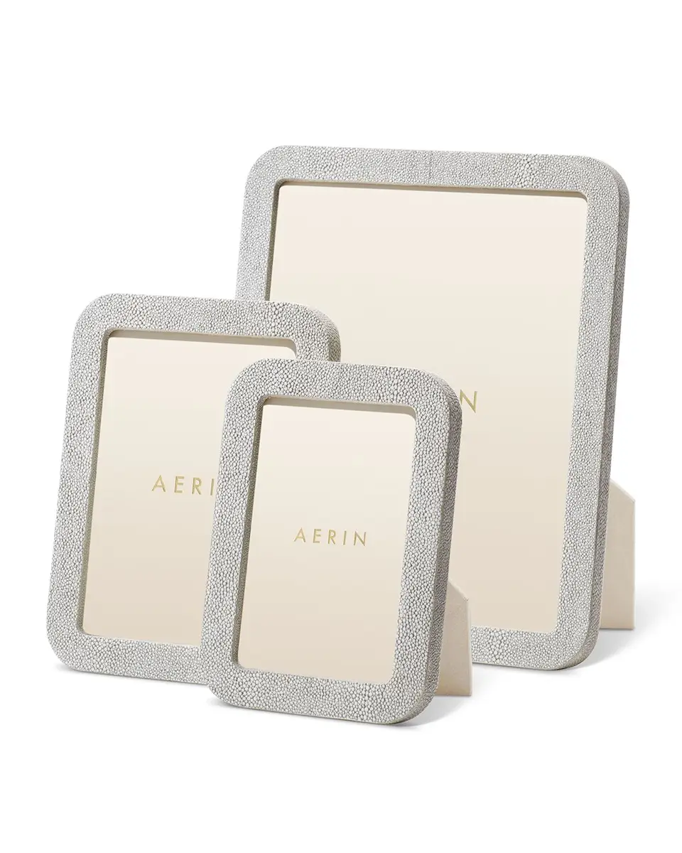 AERIN Modern Faux Shagreen Frame