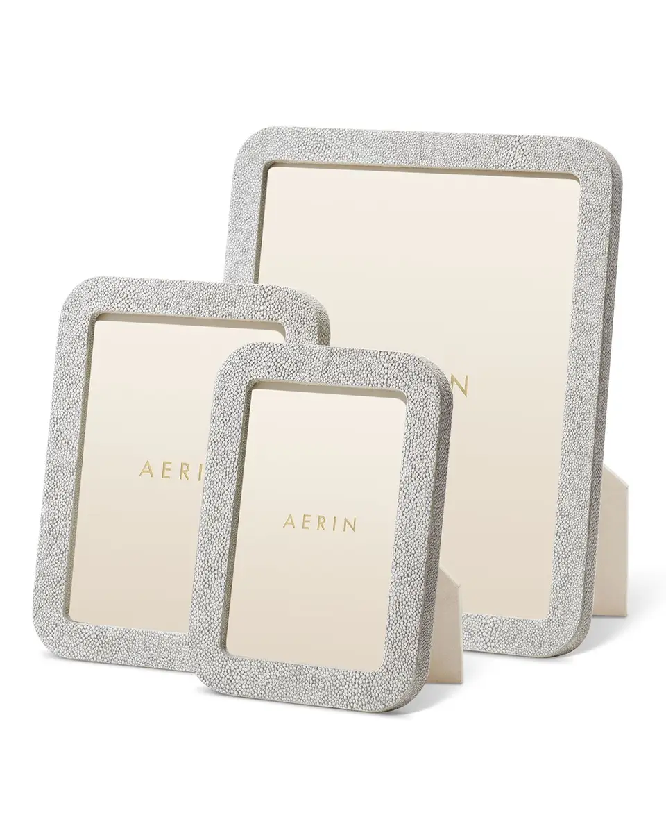 AERIN Modern Faux Shagreen Frame