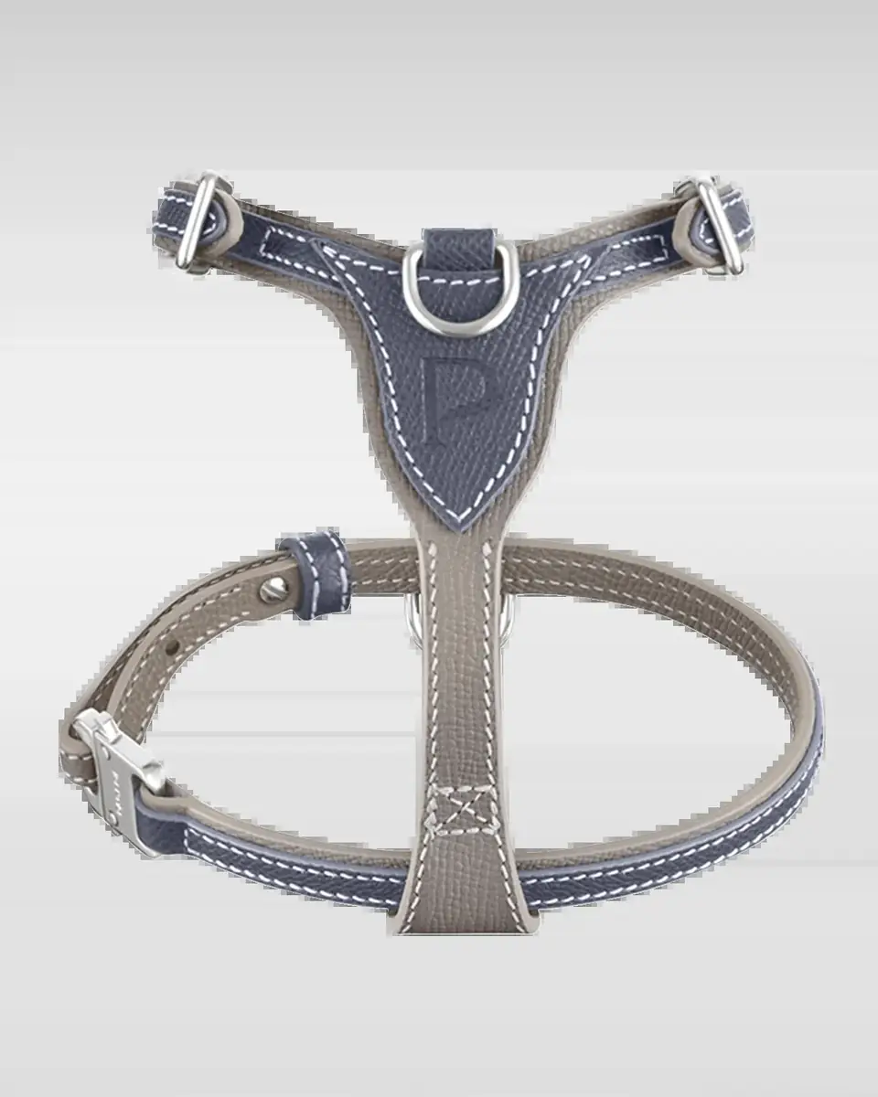 Pagerie Petite Leather Dog Harness | Thumbnail 2 Pagerie Petite Leather Dog Harness | Thumbnail 2