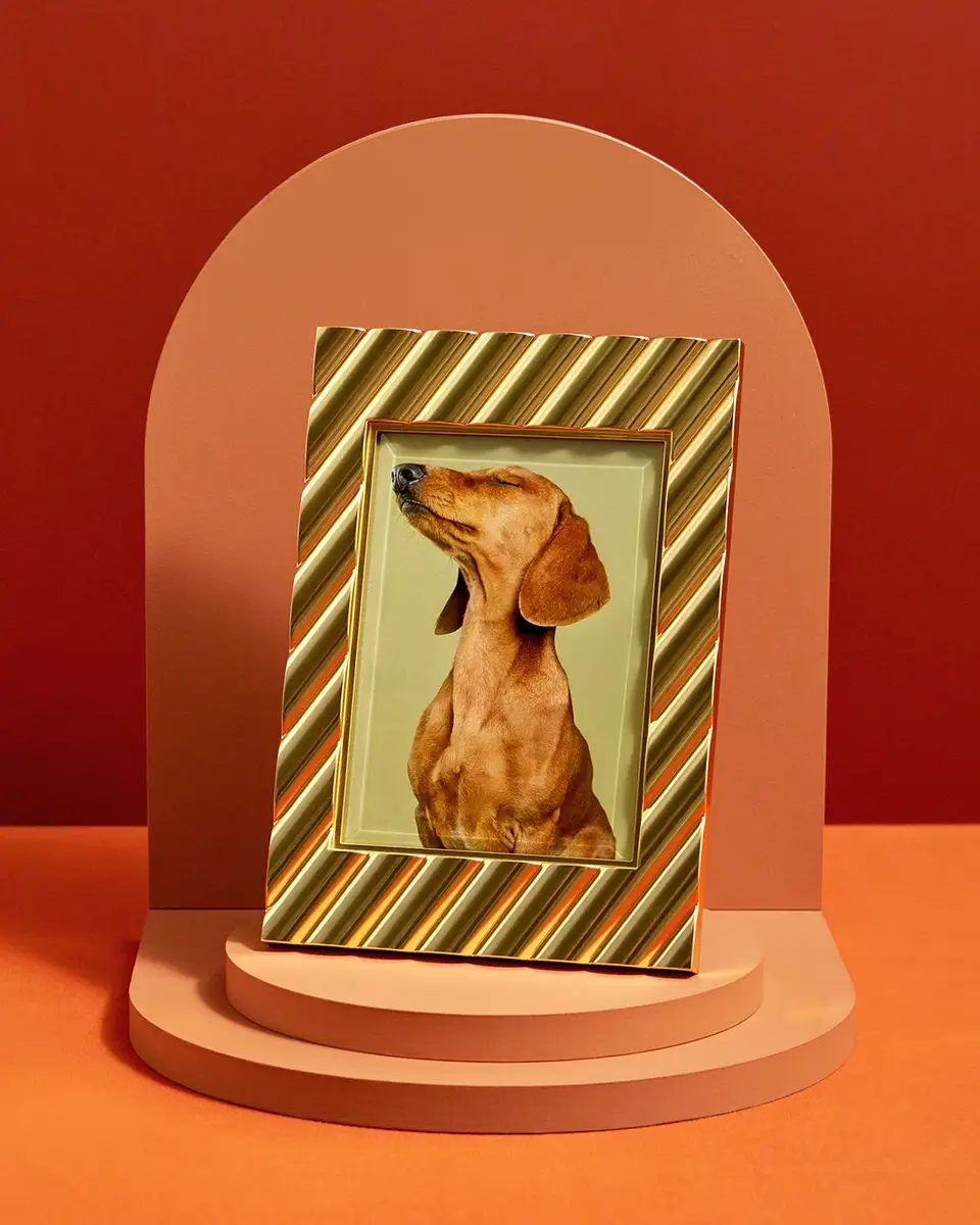 L'Objet Maxime Frame | Thumbnail 4 L'Objet Maxime Frame | Thumbnail 4