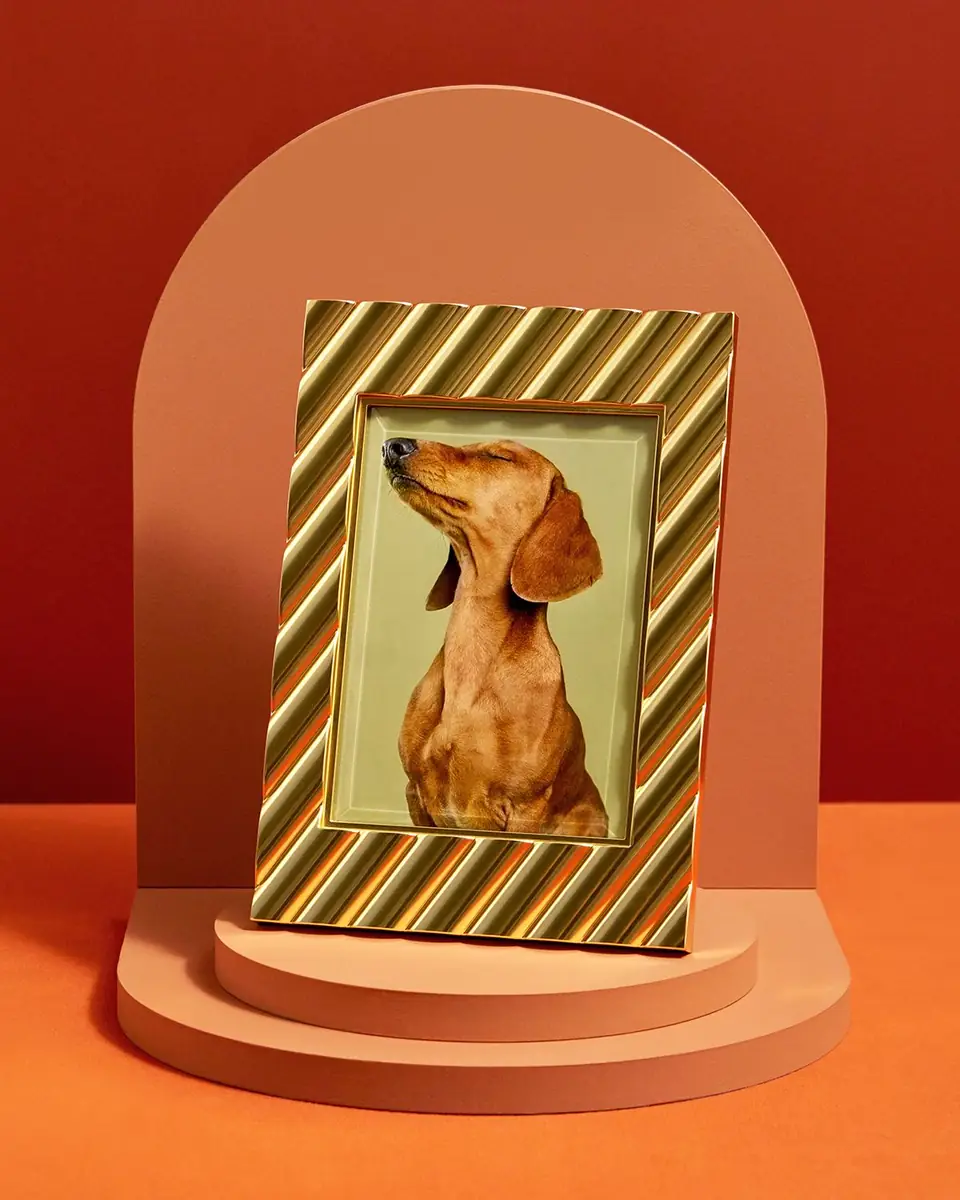 L'Objet Maxime Frame | Thumbnail 4 L'Objet Maxime Frame | Thumbnail 4