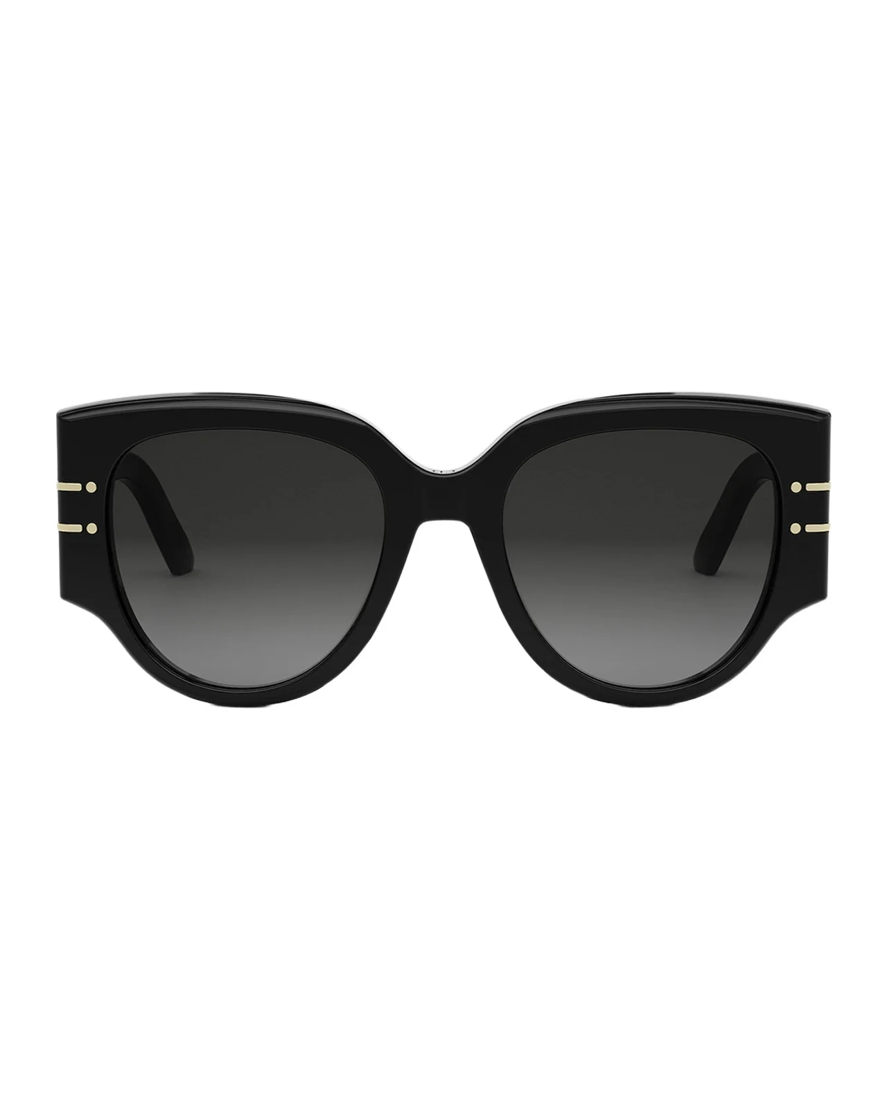 DiorSignature R2I Sunglasses DiorSignature R2I Sunglasses