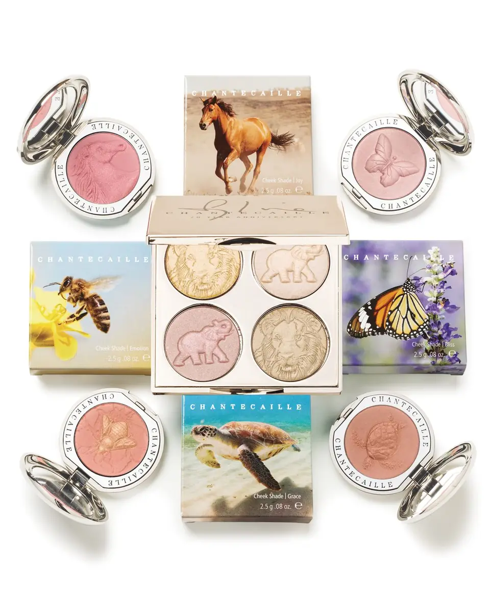 CHANTECAILLE Philanthropy Cheek Shade | Thumbnail 4 CHANTECAILLE Philanthropy Cheek Shade | Thumbnail 4