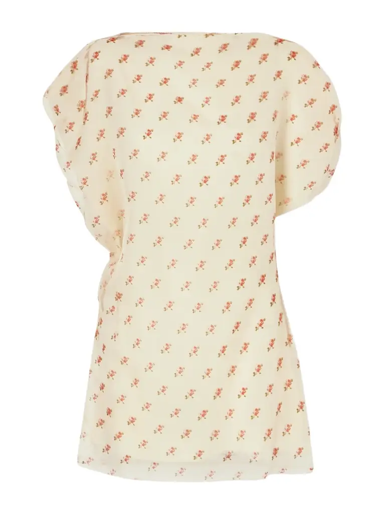 Erin Floral-print Silk-organza Mini Dress