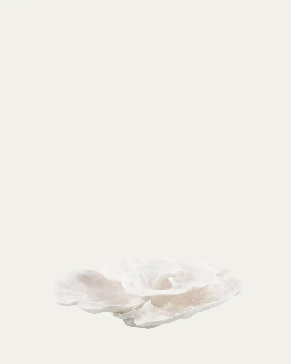 John-Richard Collection Foliose | Thumbnail 2 John-Richard Collection Foliose | Thumbnail 2