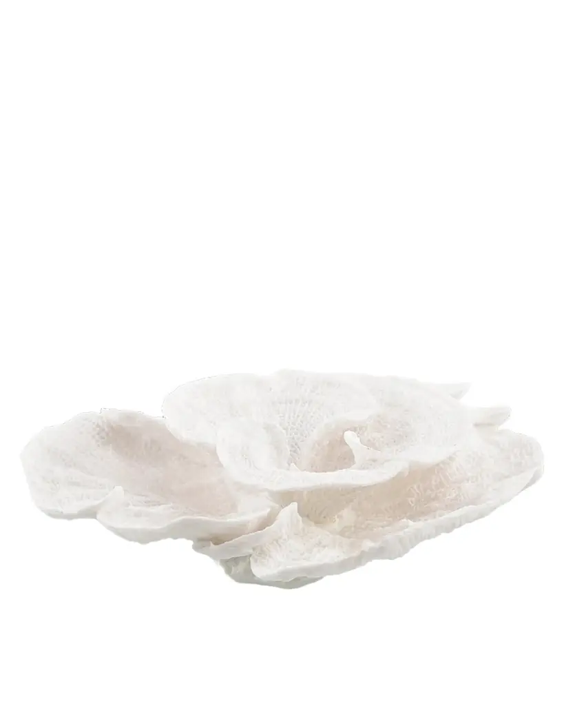 John-Richard Collection Foliose | Image 1 John-Richard Collection Foliose | Image 1