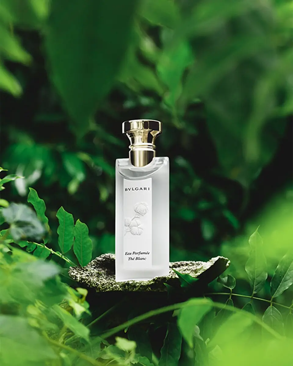 BVLGARI Eau Parfumée Thé Blanc Eau de Toilette, 2.5 oz. | Thumbnail 6